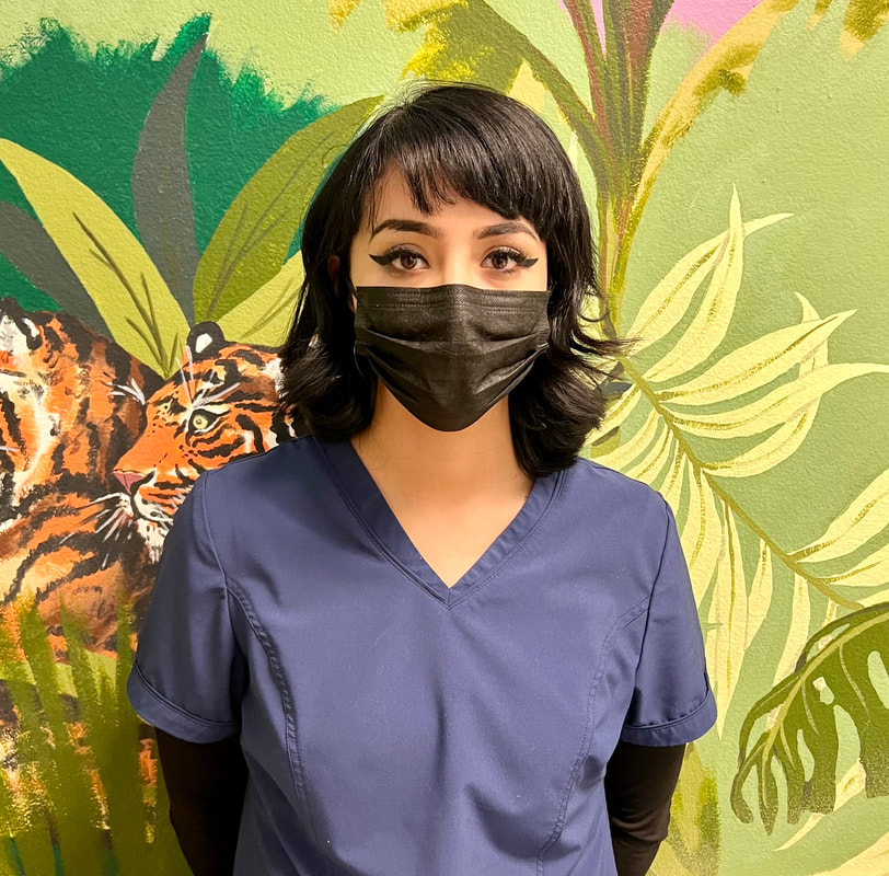 Picture of staff member in front of tiger in jungle wall mural